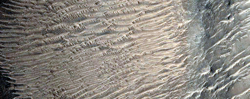 Fractures