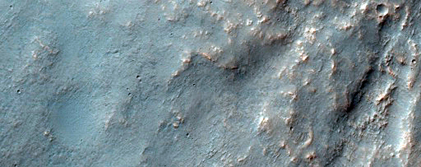 Coracis Fossae