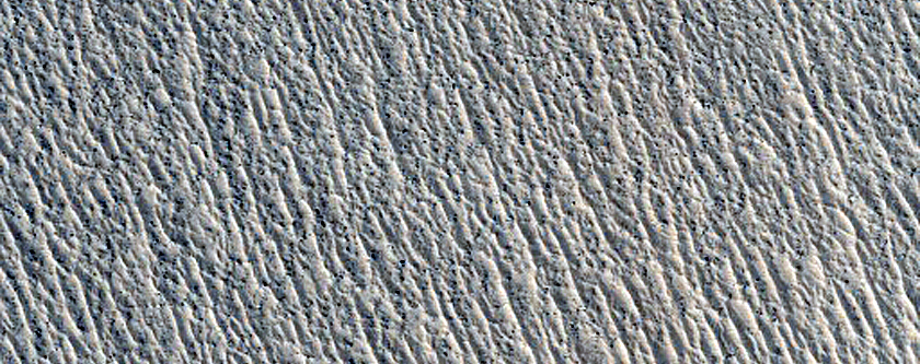 Northern Plains