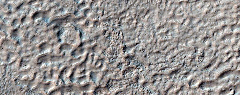 Gullied Crater Wall