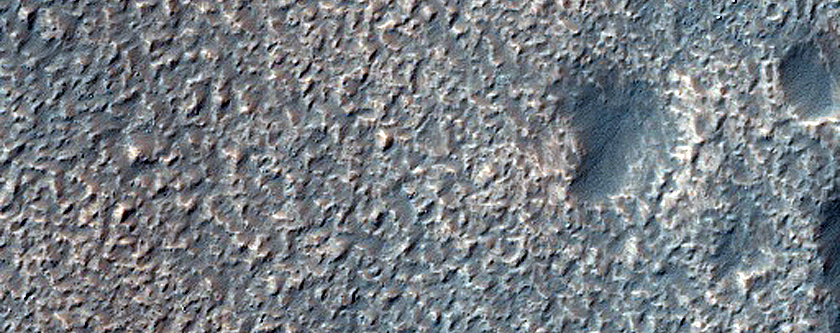 Channel Head in Newton Crater