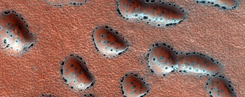 Dune Monitoring in Crater