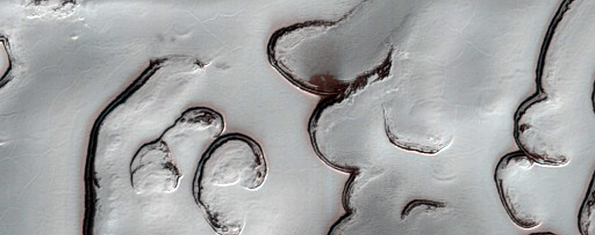 South Polar Residual Cap Morphology