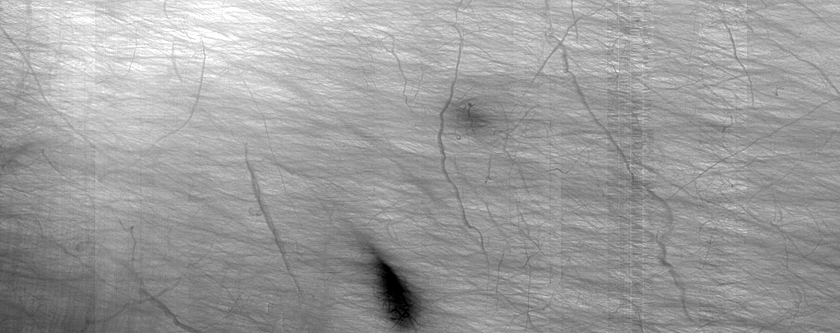 Candidate Recent Impact Site
