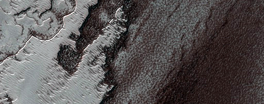 South Polar Residual Cap Intraseasonal Change Monitoring