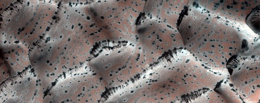 Dune Monitoring in Crater