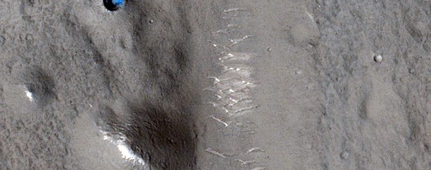 Ring Structure in Utopia Planitia