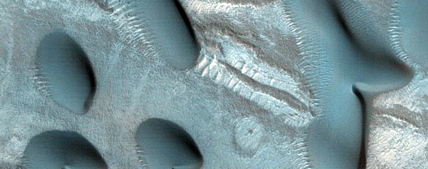 Dune Monitoring in Crater