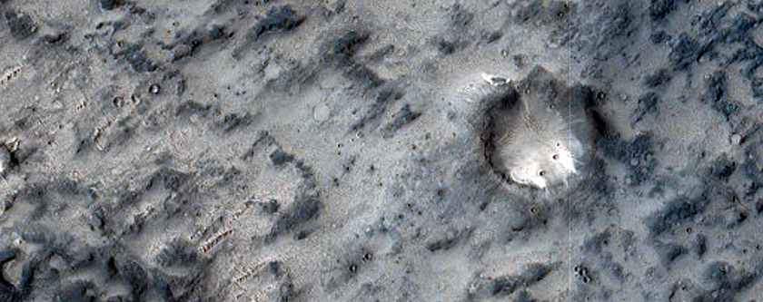 Terrain Sample West of Williams Crater