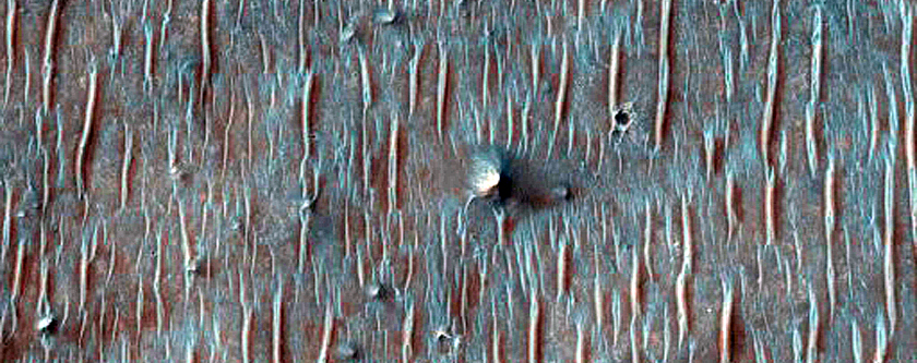 Exposed Layering in Crater Rim
