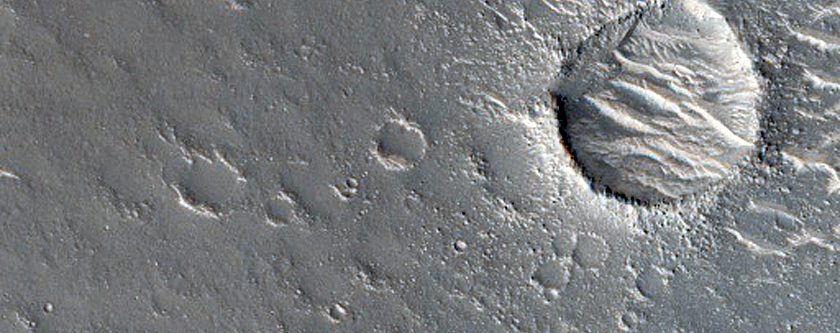 Western Elysium Planitia