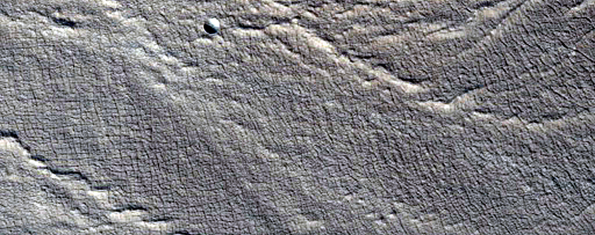 Tempe Terra