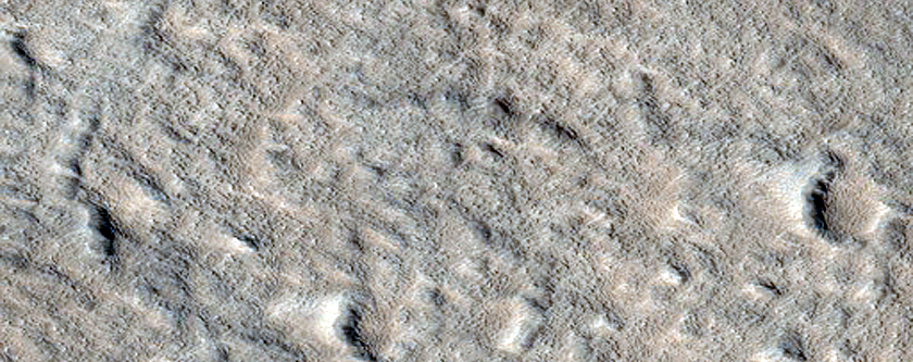 Olympus Mons Summit Region
