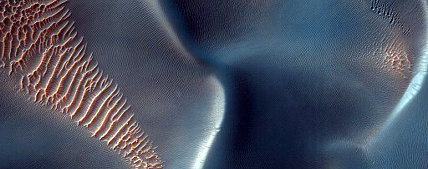 Dune Monitoring in Proctor Crater
