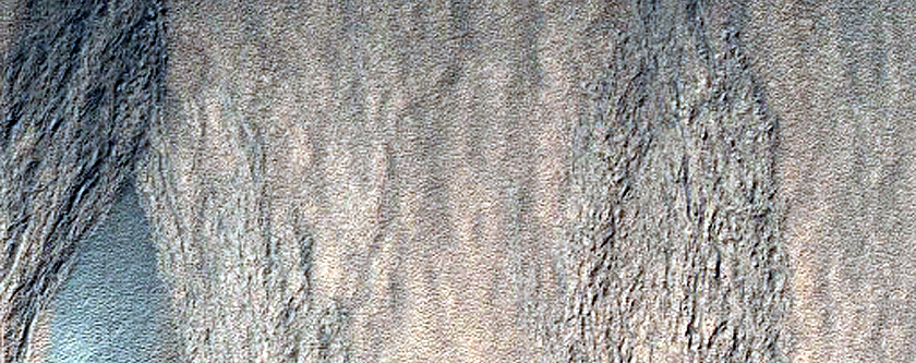 Gullies along Depression in Lyell Crater