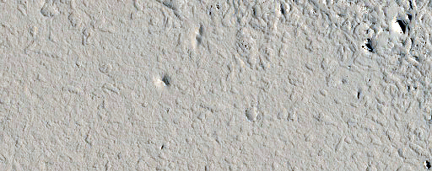 Flow Margin in Marte Vallis