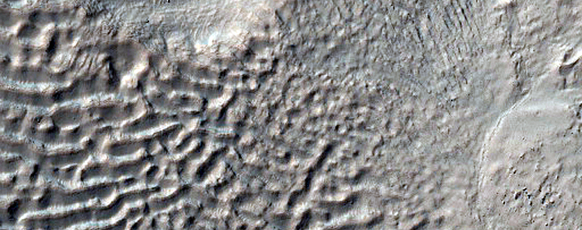 Gully Monitoring
