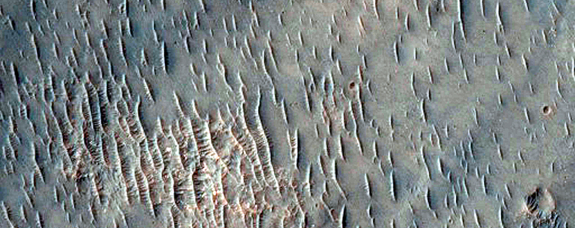 Terrain Sample