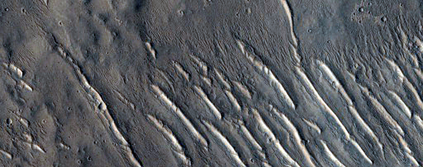 Northern Terra Cimmeria