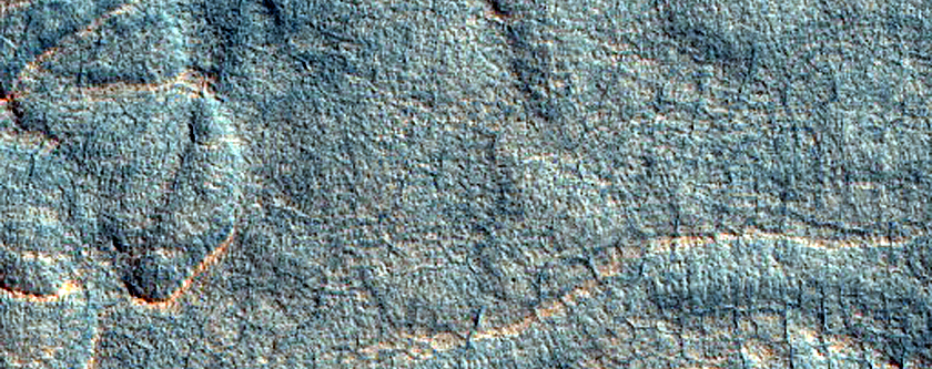 Scalloped Depressions in Utopia Planitia