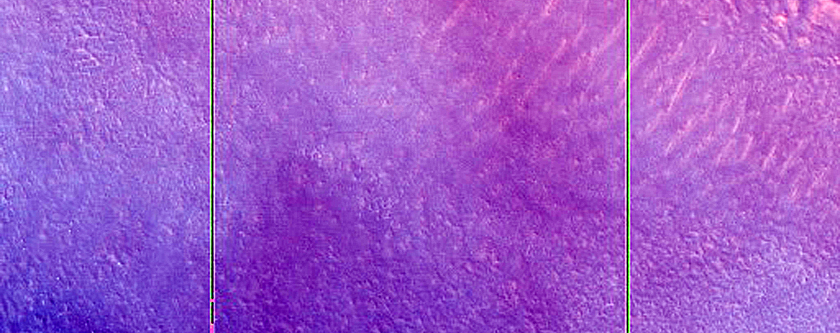 Dunes and Possible Frost