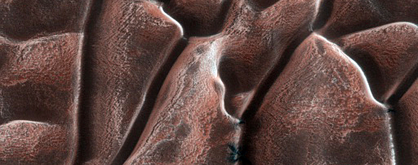 Dunes with Fans