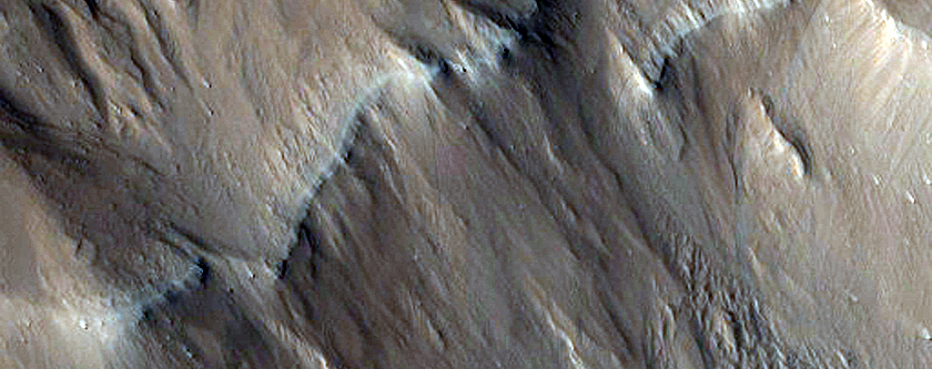 Ridge Network South of Lycus Sulci