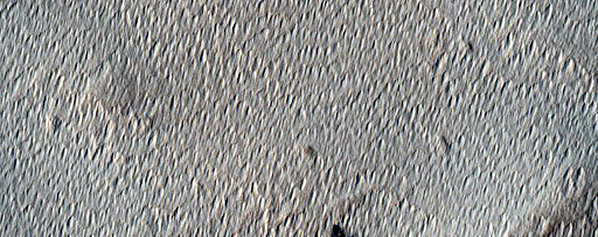 Candidate Recent Impact Site