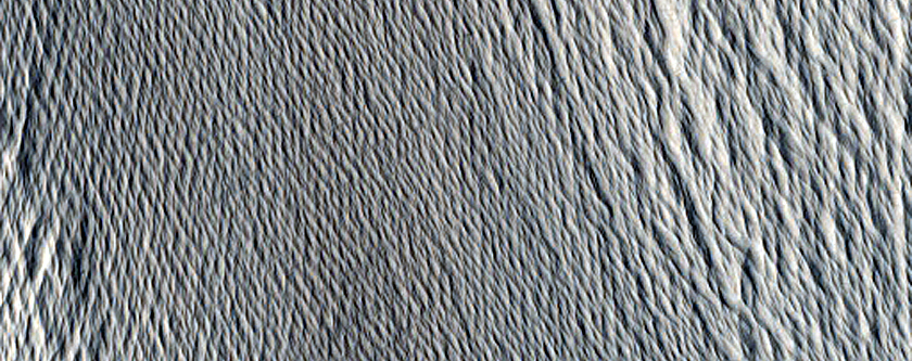 Terrain Sample