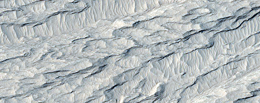 Elysium Planitia