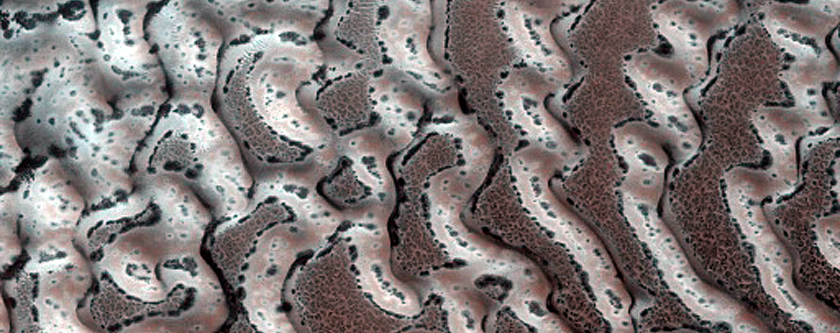 Dune Monitoring in Crater