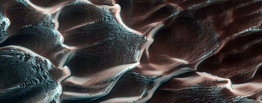 Dunes Dubbed Buzzel