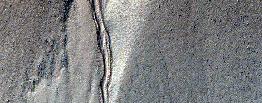 Gully Monitoring