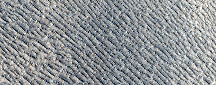 Elysium Planitia