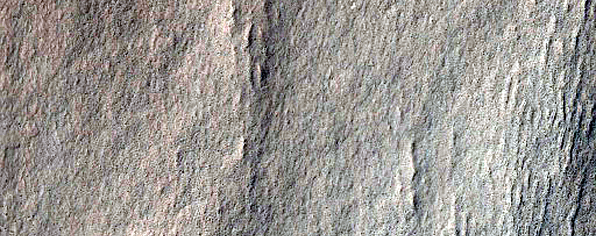 Crater Floor and Rim