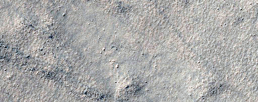 Malea Planum
