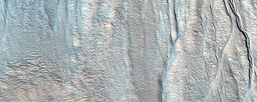 Gully Monitoring