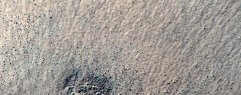 Dunes on Floor of Steno Crater