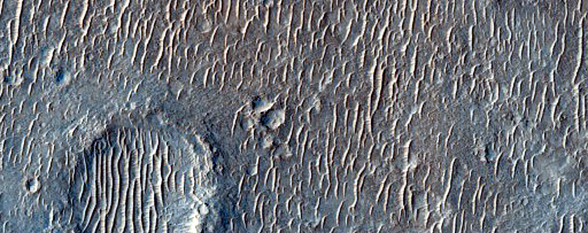 Possible Phyllosilicate-Rich Terrain near South Meridiani Planum