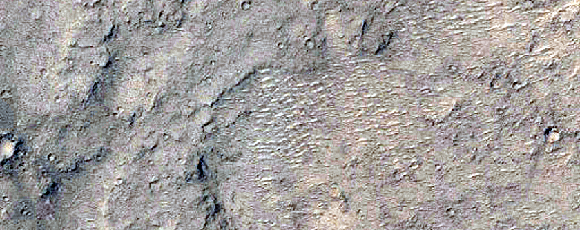 Elysium Planitia