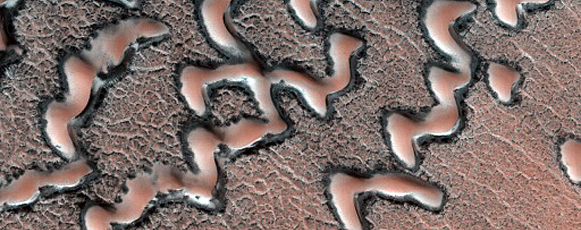 Dune Monitoring in Crater