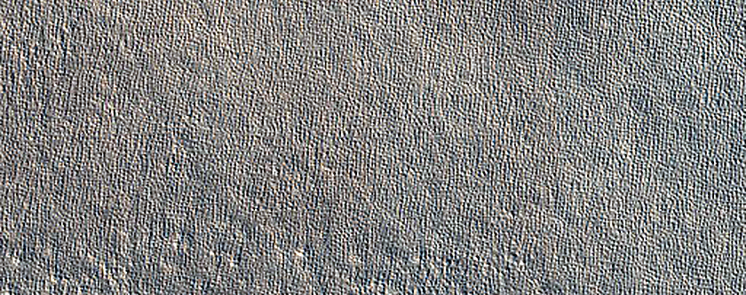 Impact Monitoring in Arcadia Planitia