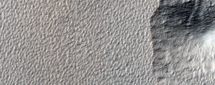 Scarp Monitoring