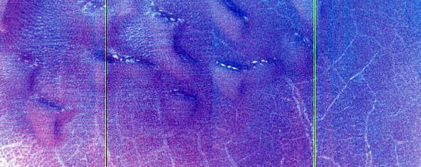 Dune Monitoring in Crater
