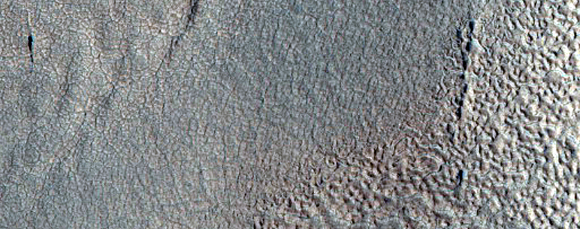 Pits Forming Lines in Protonilus Mensae
