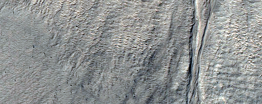 Gully Monitoring
