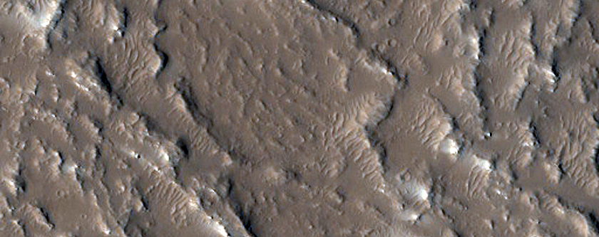Terrain South of Olympus Mons