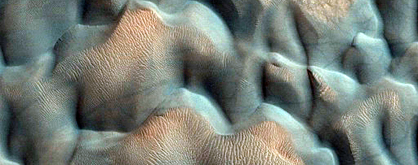Dune Monitoring in Lyot Crater