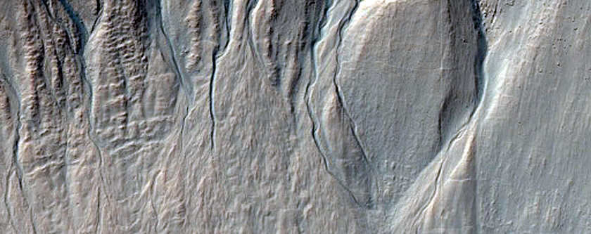Gully Monitoring and Topography