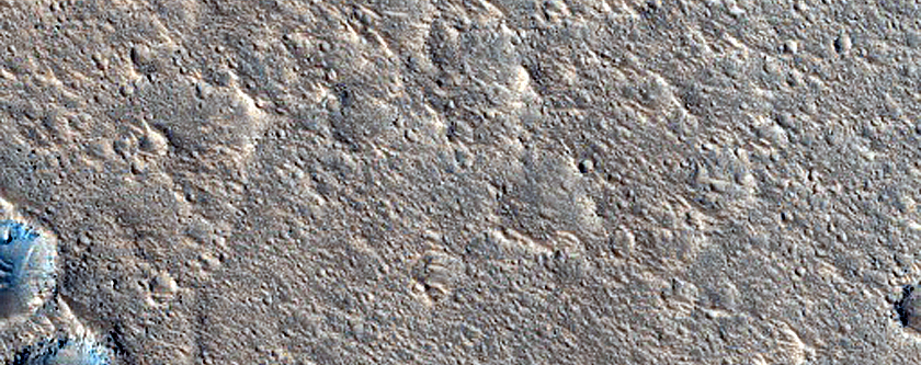 Elysium Planitia